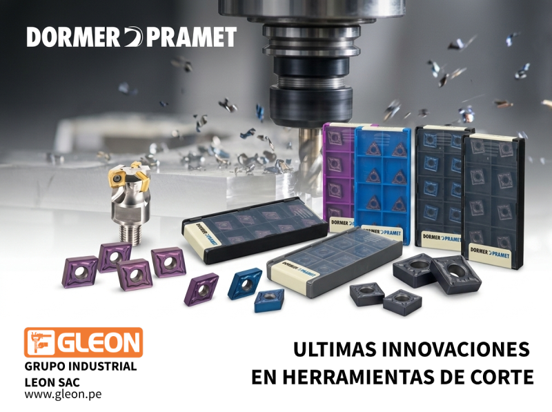 Experiencia NEGOCIOS INTERNACIONALES LEON SRL